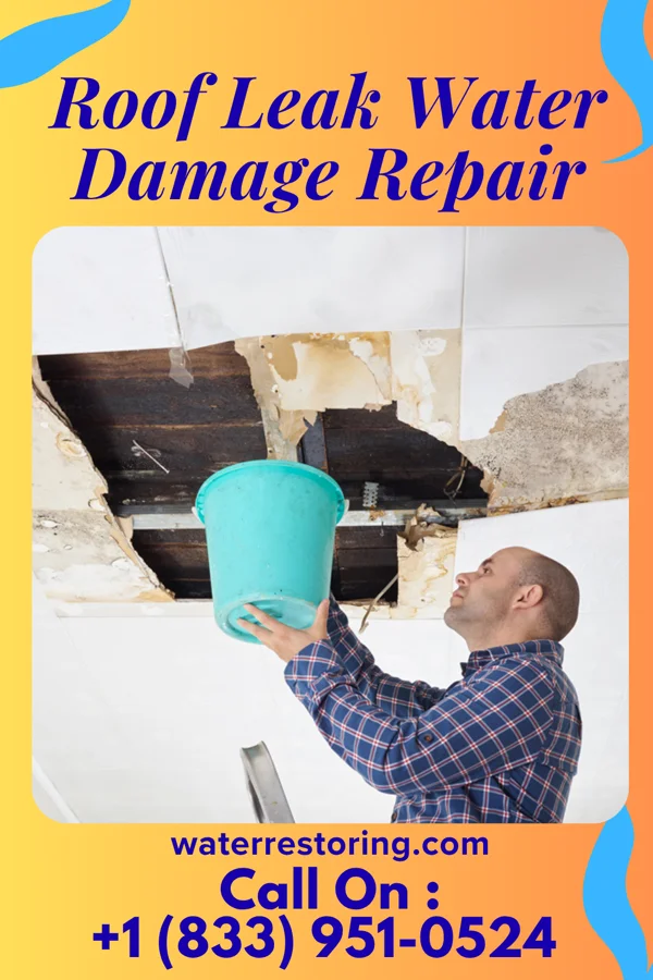 Roof Leak Water Damage Repair in Wakita, OK